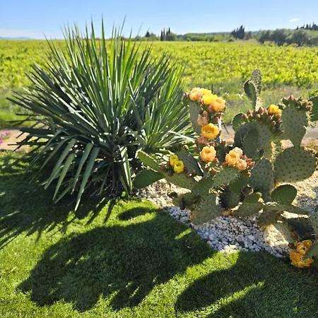 Villa De Standing, Vue Exceptionnelle Usclas-l'Hérault
